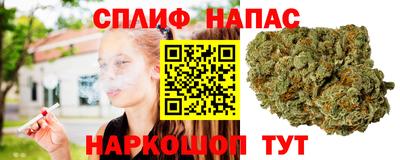 прущие крисы Новодвинск