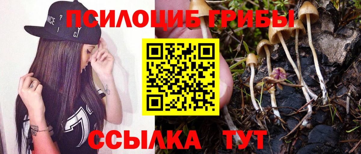 Псилоцибиновые грибы мухоморы  Вход с VPN  Соль-Илецк  Галлюциногенные грибы Magic Shrooms 