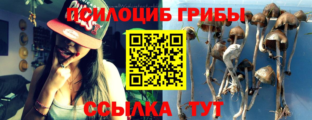 Галлюциногенные грибы ЛСД Соль-Илецк