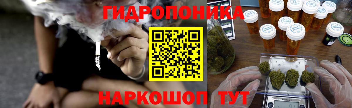 Бошки марихуана OG Kush Соль-Илецк